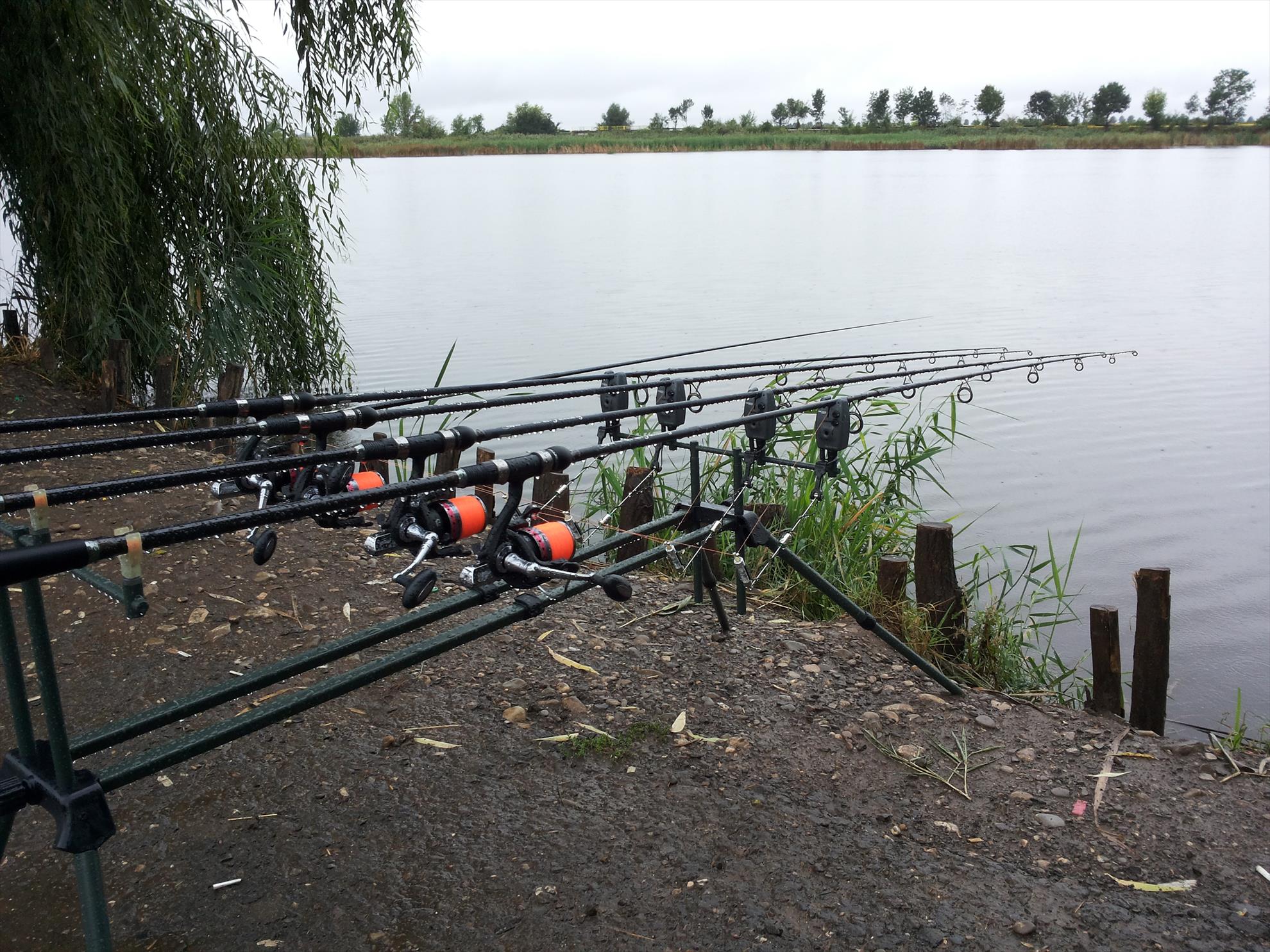 Paulesti' 2013 - 20130830085345.jpg